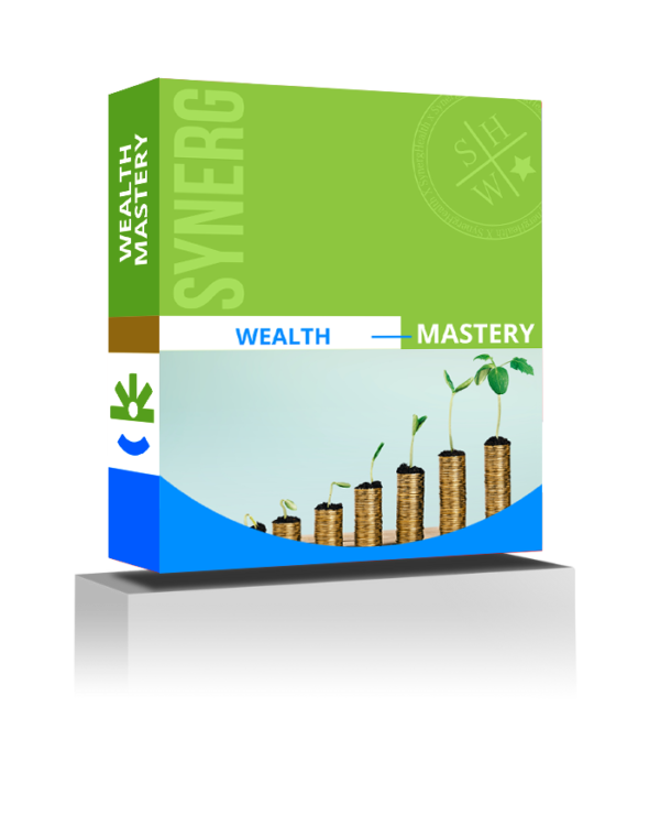 Synerg Wealth Mastery - Image 2