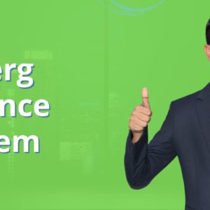 Synerg Balance System