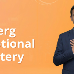 Synerg Emotional Mastery