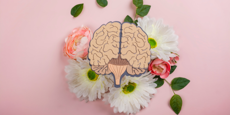 SynergHealth Mental Wellness SynergHealth Mental Wellness